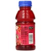 Langers Juice Cocktail, Cranberry, 10 Fl Oz (Pack of 12)