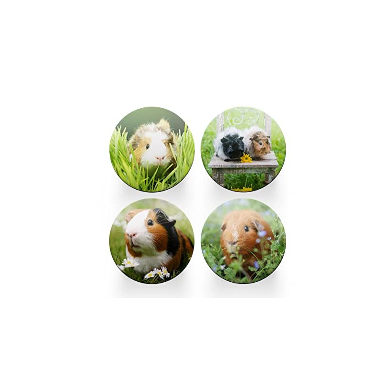 4 x Round Guinea Pig Coasters - Animals Rodent Pets