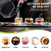 suyika Japanese Tetsubin Tea Kettle Cast Iron Teapot with Stainless