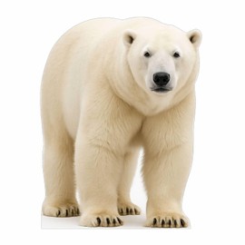 Polar Bear 4FT Life Size Cardboard Cutout – A Fun Animal Standup for Photo Booths, Birthday Parties, and Events