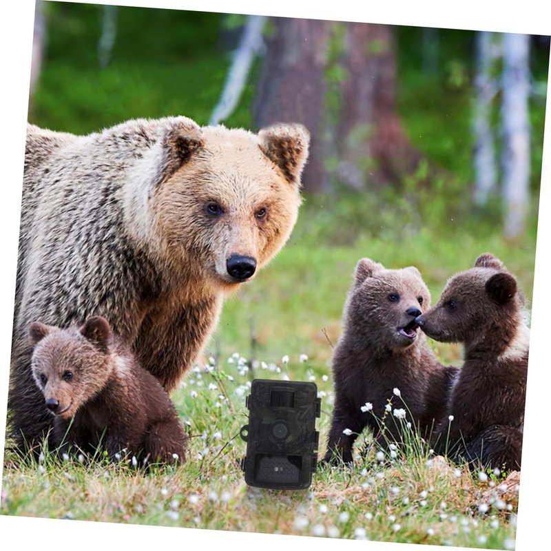 BESPORTBLE 1 Set of Trail Game Camera: Waterproof Hunting Wildlife