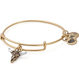 Alex and Ani Spirited Skull Bangle Bracelet, Rafealian Gold, Expandable