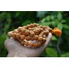 Shiva Lingam Shop Sandalwood Mala Necklace 108 Beads 8mm Brown
