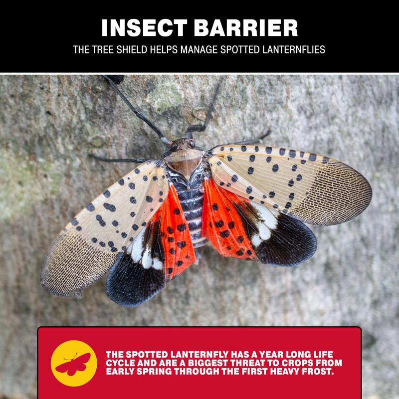 Catchmaster Tree Shield Lantern Fly & Ant Traps Insect Barrier,