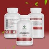 Ashwagandha Extract 500 mg 60 Capsules Indian Ginseng Memory