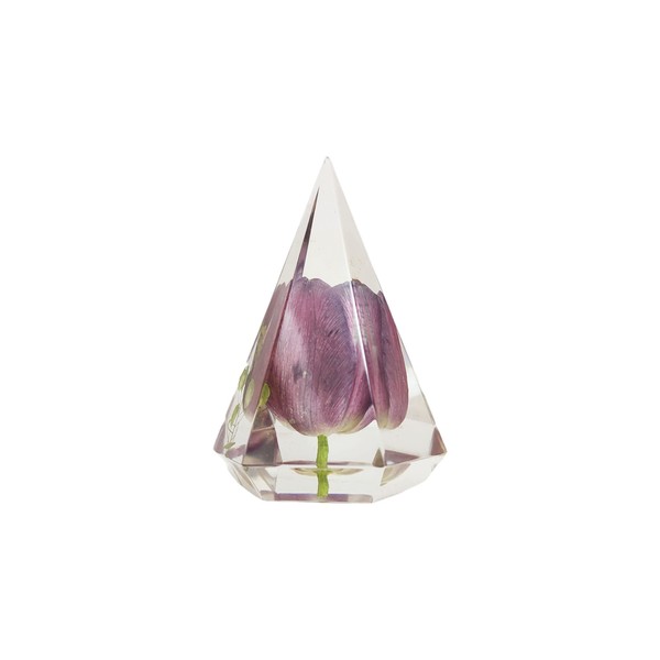 Ring Holder Eternal Flower Natural Tulip Preserved Flower In Resin