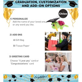 DolliBu Big Eye Sea Turtle with Pink Shell Graduation Plush Toy - Graduation Stuffed Animal Dress Up with Gown & Cap with Tassel Outfit - Gift with Personalization - 6" Inch