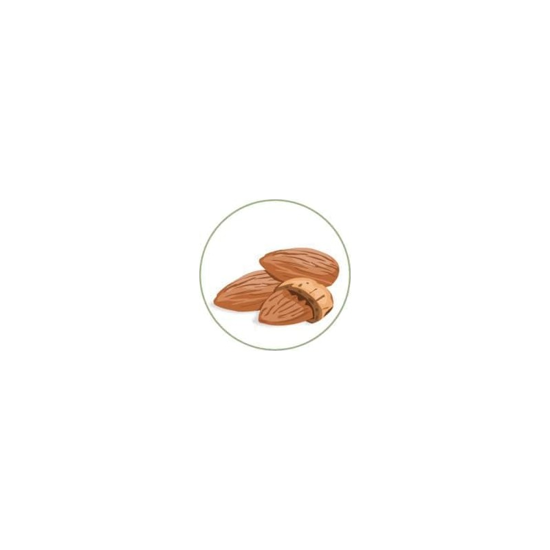 Generic Generic Original Adi.vasi Hair Growth Oil 200 ML Ayurvedic