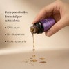 Kit Aceites Esenciales Relajante 3x10ml Lavanda Cedro Eucalipto | 100%