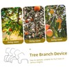 Outanaya 10pcs Fruit Tree Branch Puller Tying Machine Orchard Tool