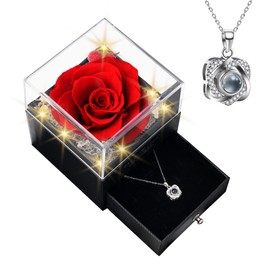 Collar con texto "I Love You", 100 idiomas, rosa conservada con collar, collar de plata de ley 925, para mujer, mamá, esposa, novia, con caja en aniversario, día de San Valentín, día de la madre