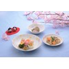 Kanese Mino Ware Flower Rabbit Medium Plate (Set of 3)