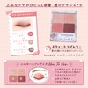 Canmake Silky Flared Eyes 10 Sweet Love Letter, 4 Color