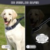 Duckygoo No Pull Dog Training Collar - Adjustable Martingale Slip