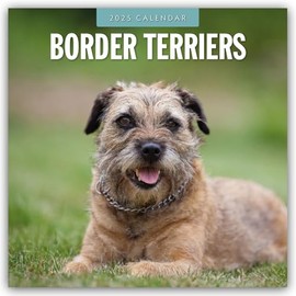 Border Terriers – Border Terrier 2025 – 16-Monatskalender: Original Red Robin Publishing Ltd-Kalender [Mehrsprachig] [Kalender] (Wall-Kalender)