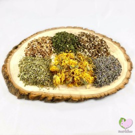 Food4Buns The Shire Mix, Bunny Rabbit Guinea Pig Chinchilla Food Treats - 8 oz