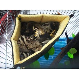 5 pieces/Set Cage Nest Set for Sugar Glider, Hamster, Squirrel, Marmoset, Chinchillas, Small Exotic Pet Triangle Nest Forest Pattern Dark Brown Color
