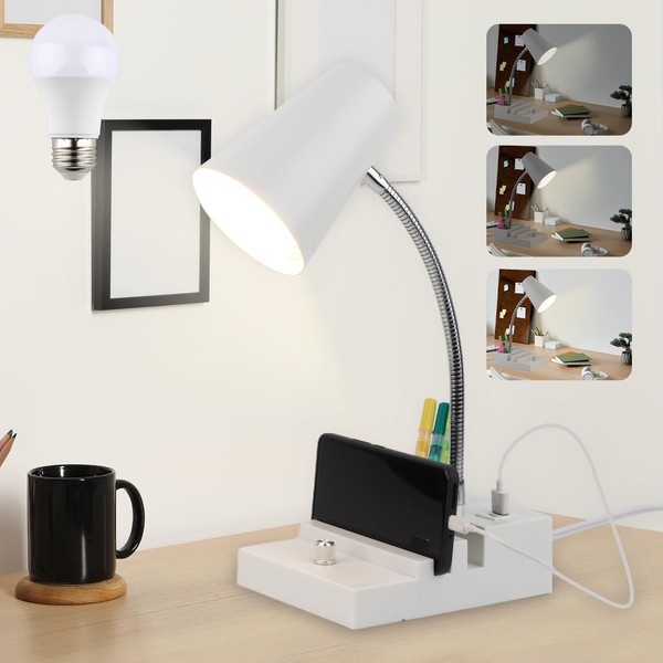LALISU Study Desk Lamp with USB Charging and Type-C Night