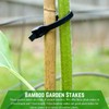 Farm Plastic Supply - Bamboo Garden Stakes - Bambo Sticks,