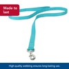 Coastal Pet Double-Ply Dog Leash - Bolt Snap Attachment to