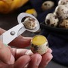 1Pc Green Stainless Steel Quail Egg Scissors,Egg Slicer Pigeon Clipper