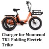 coming data ac adapter 3A fast battery Charger for Mooncool