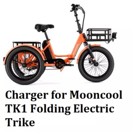 coming data ac adapter 3A fast  battery Charger for Mooncool 48v TK1 electic trike