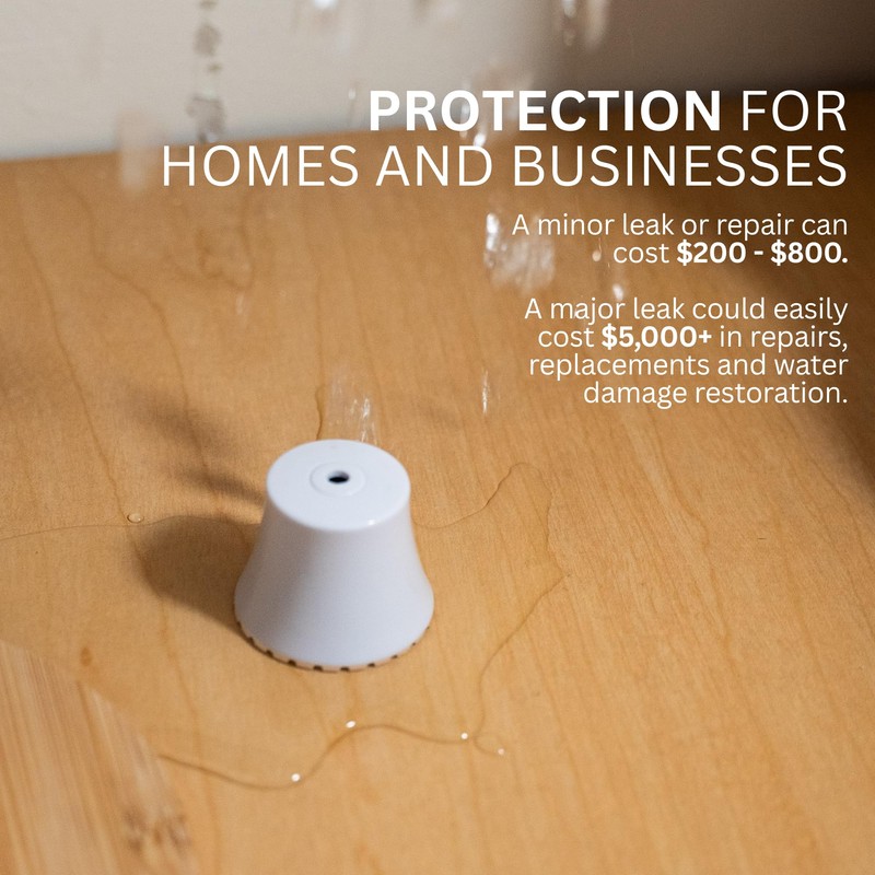 Flood Buzz Small Model | 6-Pack | Reusable, Easy-to-Use Water