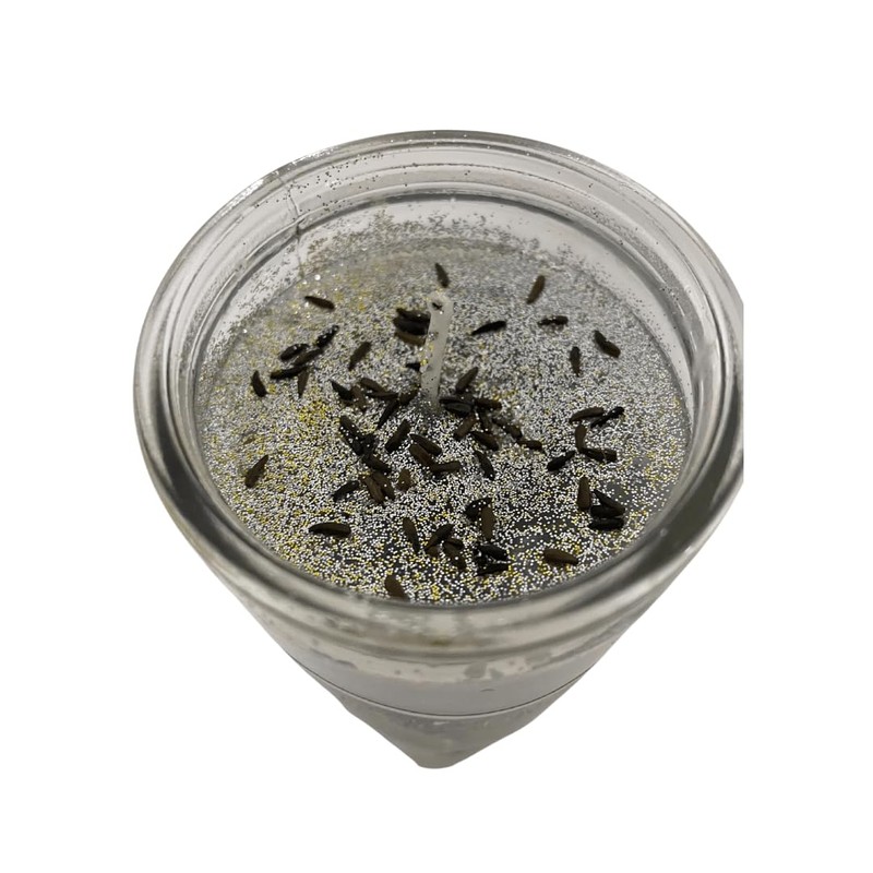 Arrasa con Todo Veladora Preparada/Destroy Everything Prepared Ritual Candle