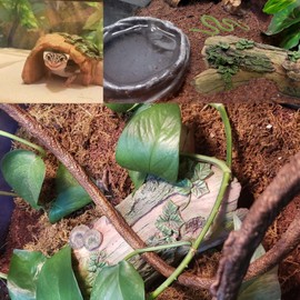 MUYG Resin Reptiles Hollow Tree Trunk Habitat Decor Reptile Log Hides Caves Bearded Dragon Hideout Cave Bark Habitats Decoration Gecko Hut for Lizard Chameleon Crested Gecko Snake Spider (3Pcs)