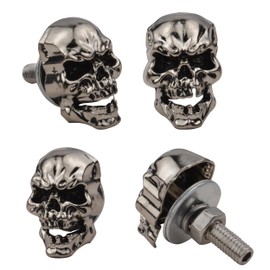 Temzzer Skull Car Tag Frame Screws License Plate Screw Kits Anti-Theft Car Plate Fasteners for Most Vehicle Motorcycle 4 PCS (Sliver)
