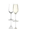 Schott Zwiesel Grace | Set of 2 Champagne Flutes |