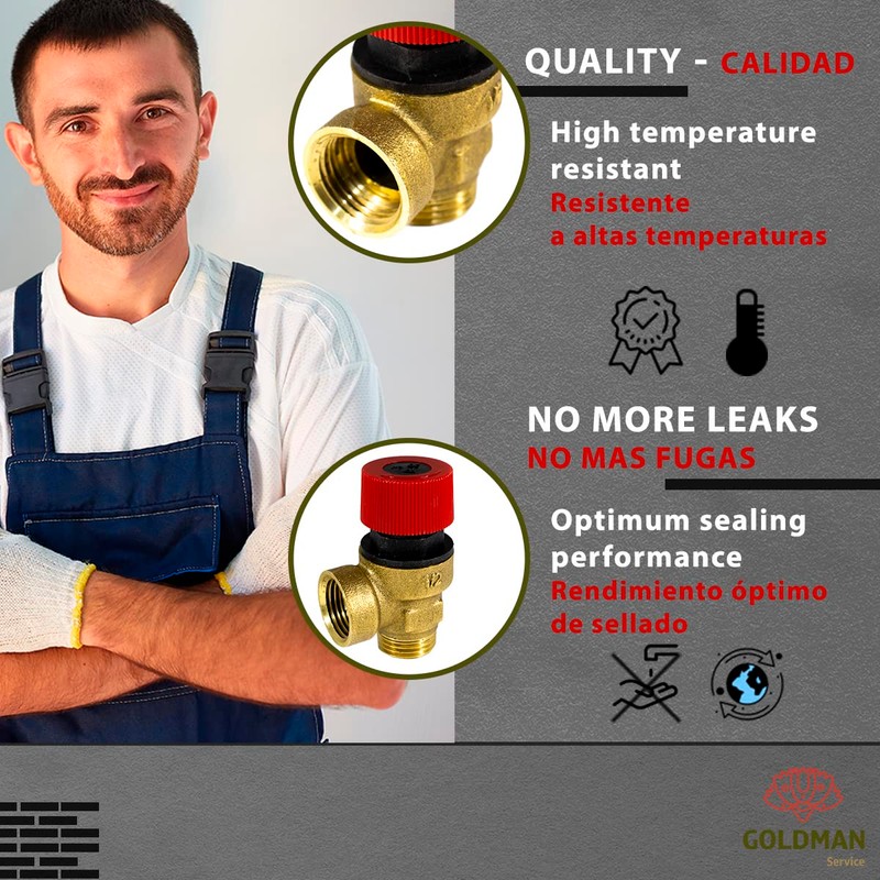 GOLDMAN SERVICE Boiler Safety Valve for Pressure Relief G1/2 Inch
