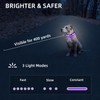 Super Bright LED Dog Collar - Fully Waterproof & Adjustable