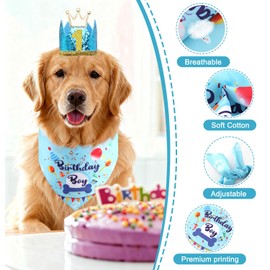 Rensh Dog Birthday Party Supplies, Dog Birthday Bandana Hat with Numbers for X-Large Large Small Pets, Multi Size Birthday Decorations for Dogs and Cats (Blue, Large)