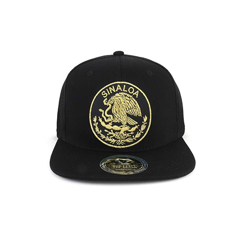 Trendy Apparel Shop City of Mexico Eagle Embroidered Flatbill Trucker