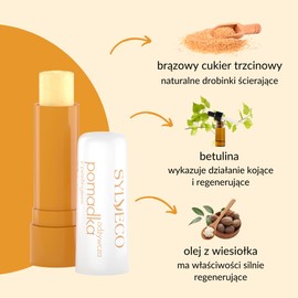 Sylveco nourishing lip balm with peeling 4.6 g