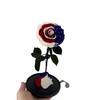 PRESERVEDUSA Preserved rose with USA flag