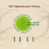 Glicinato Magnesio Raíces Zen Hombres Mujeres 120 Cápsulas