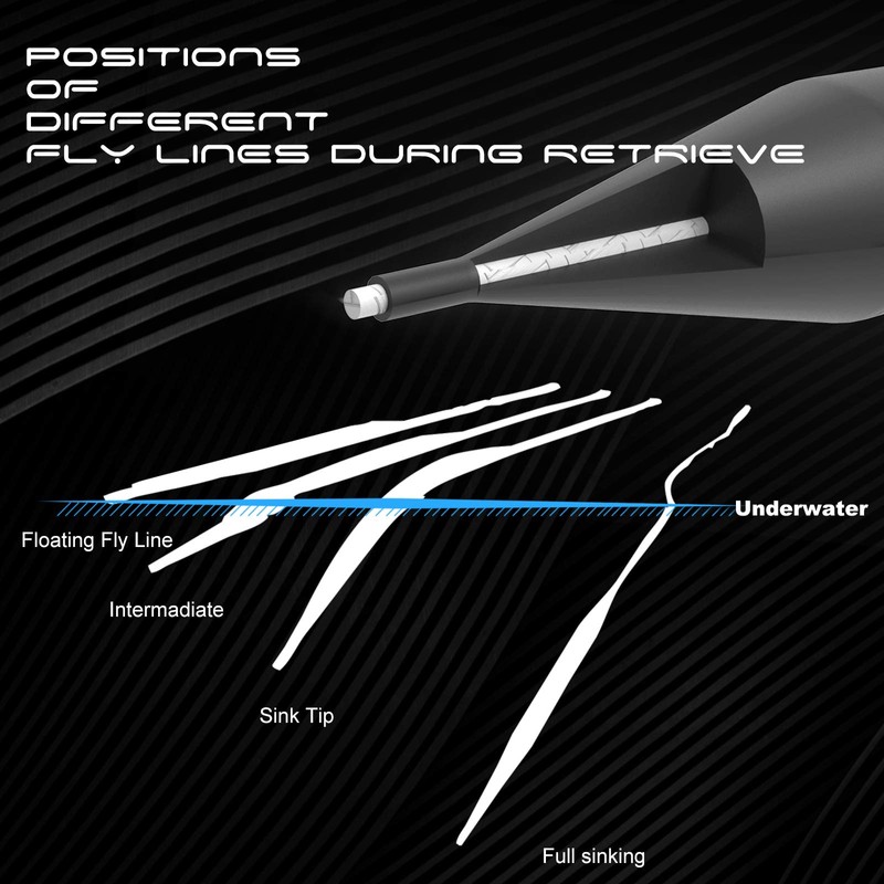 MAXIMUMCATCH Sinking Tip Fly Line for Fly Fishing, 3ips, 4/5/6/7/8