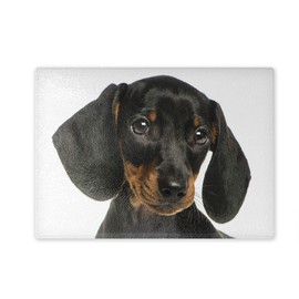 Chopping Board / Glass Chopping Board 20 x 28 x 0.4 cm Dachshund Design 02