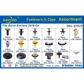 OAUTOO 174pcs fits Buick Enclave 2018-On Auto Body Interior and Exterior Retainer Fastener Clip Assortment