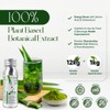 Pandan Extract Liquid Concentrate | No Artificial Additives, No Sugar