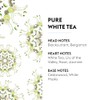 Maison Berger – Reed Diffuser Refill Pure White Tea –