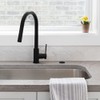 Danco Kitchen Sink Top Mount Air Switch for Garbage Disposals