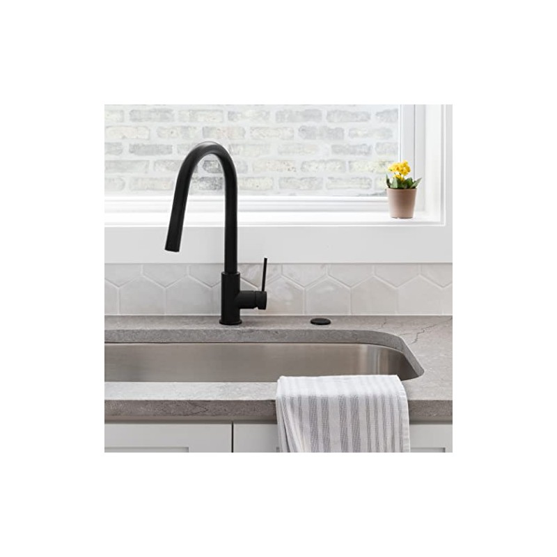 Danco Kitchen Sink Top Mount Air Switch for Garbage Disposals