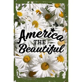 Daisy Flower Wall Art America the beautiful god bless united states freedom Hanging Wall Sign 8 x 12 Decor Funny Gift