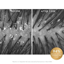 Moroccanoil Exfoliante purificador prelavado para el cuero cabelludo, 4.2 onzas líquidas
