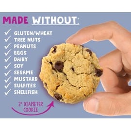 Allergy Smart Crunchy Vegan Cookies | Gluten Free, Nut Free, Egg Free, Soy Free, Dairy Free, Non GMO, Kosher | Delicious Plant Based School Snack for Kids & On the Go | 30 INDIVIDUALLY WRAPPED (1oz) 2 Packs | 6 Boxes ASSORTED Flavors