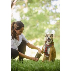 Dexas MudBuster Portable Dog Paw Washer/Paw Cleaner, Medium, Matte Black- Special Edition (PW71025-22WP)